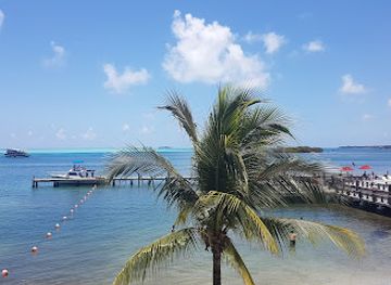 colombia/san-andres-island/restaurant/gourmet-shop-assho