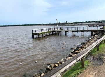 mississippi/ross-barnett-reservoir/restaurant/cock-of-the-walk