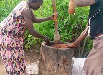 ghana/upper-west-region/restaurant/tilapia-city-fast-food