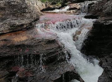 colombia/cano-cristales/restaurant/restaurante-llano-y-leyenda