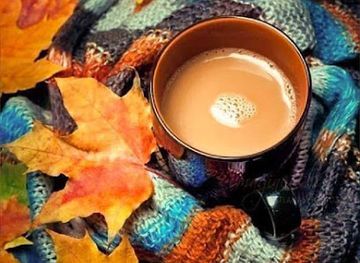 pakistan/fata-federally-administered-tribal-areas/restaurant/waziristan