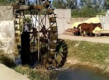 pakistan/hazara/restaurant/abbottabad-hazara-resturant-jandial