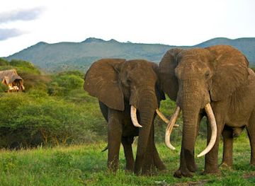 kenya/chyulu-hills-national-park/restaurant/chyulu-hills-national-park