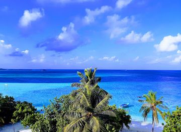 maldives/maafushi-island/restaurant/hot-bite