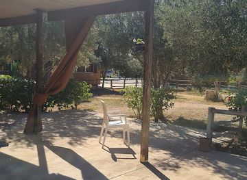 morocco/taroudant/restaurant/buvette-des-profs