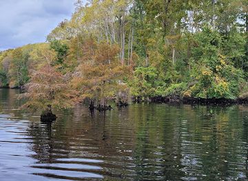virginia/great-dismal-swamp-national-wildlife-refuge/restaurant/great-dismal-swamp-national-wildlife-refuge