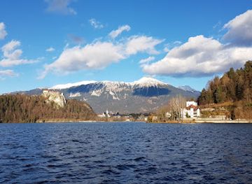 slovenia/lake-bled/restaurant/pizzeria-gallus