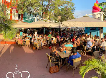 Plein Café Wilhelmina
