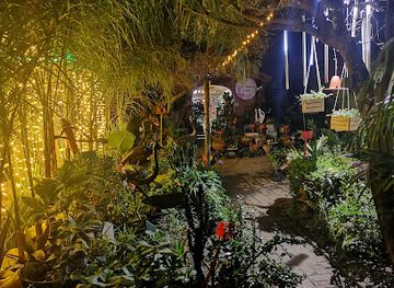 zimbabwe/bvumba-botanical-gardens/restaurant/sabai-thai