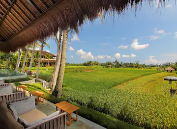 Terracotta Restaurant Ubud
