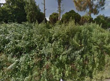 bhutan/trashigang/restaurant/kuenkhor-restaurant