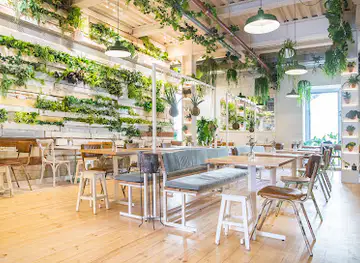Fauna & Flora - Chiado