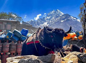 nepal/gokyo-lakes/restaurant/umami-taste-coner