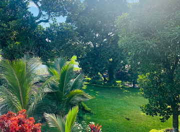 madagascar/atsimo-atsinanana/restaurant/vangai-lodge