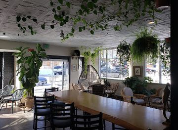 colorado/boulder/restaurant/jungle