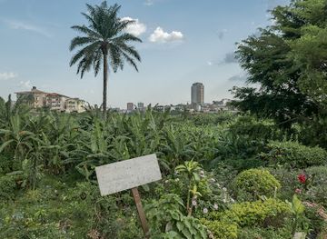 cameroon/mbam-djerem-national-park/restaurant/bois-d-ebene