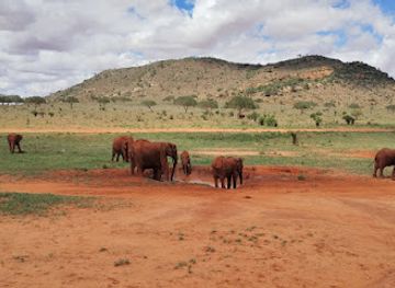 kenya/tsavo-national-park/restaurant/tsavo-east-national-park-bachuma-gate