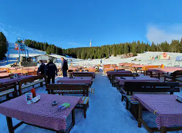 Bohemi Bar&grill
