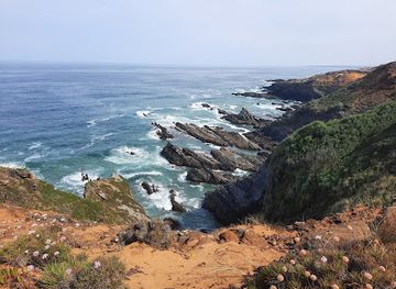 portugal/costa-vicentina/restaurant/costa-alentejana-restaurant