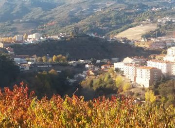 portugal/lamego/restaurant/restaurante-quinta-ferra-bordao-se