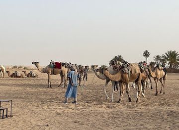 tunisia/douz/restaurant/tej-elkhayem