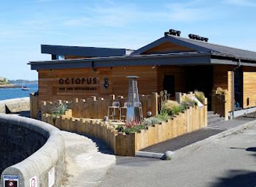 guernsey/st-pierre-du-bois/restaurant/octopus-restaurant