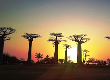 madagascar/menabe/restaurant/restaurant