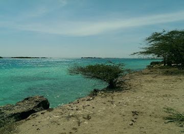 aruba/mangel-halto/restaurant/tio-pepe-bar-restaurant