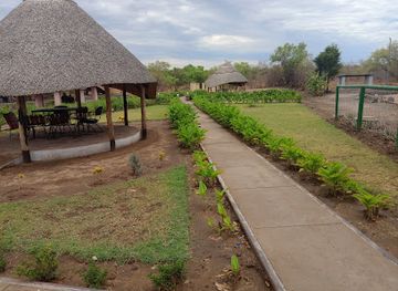 zimbabwe/hwange/restaurant/upshot-mabhiza