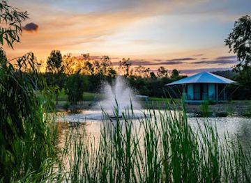 australia/northern-queensland/restaurant/black-barra-bar-cafe
