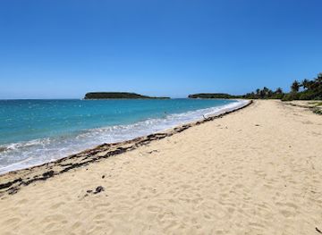 puerto-rico/vieques-island/restaurant/arenamar-sunbay-s-cafe