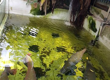 singapore/sungei-buloh-wetland-reserve/restaurant/favourite-eatery