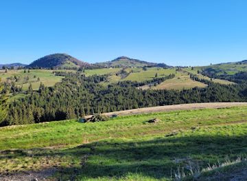 romania/rodnei-mountains/restaurant/popasul-boierilor