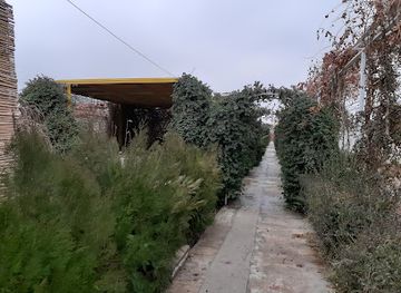 afghanistan/mazar-i-sharif/restaurant/bostan-balkh