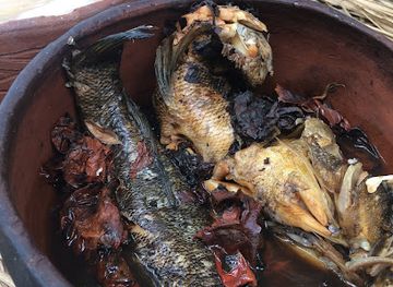 indonesia/southeast-papua/restaurant/ungkea-jungle-resto