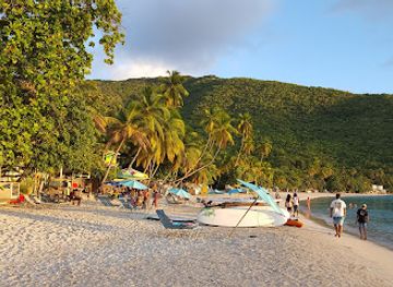 british-virgin-islands/jost-van-dyke/restaurant/myett-s-restaurant-hotel