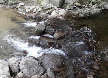 south-korea/suncheon/restaurant/Ogung-sanjang