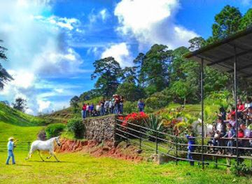 honduras/pico-bonito-national-park/restaurant/hacienda-montecristo-honduras