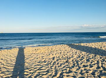 new-jersey/island-beach-state-park/restaurant/red-fox-beach-bar-grill