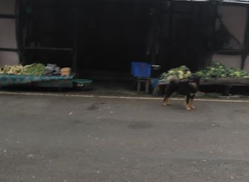 india/arunachal-pradesh/restaurant/hotel-unique