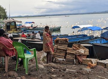 ethiopia/bahir-dar/restaurant/dahlak-fish-restaurant