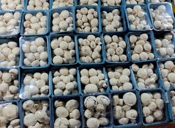 india/uttar-pradesh/restaurant/best-restaurants-near-me-top-restaurants-nearby