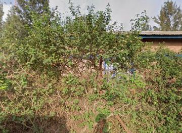 rwanda/nyungwe-forest-national-park/restaurant/wenseslas