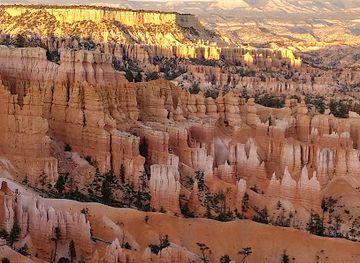 arizona/lake-powell/restaurant/blue-buddha-sushi-lounge