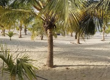 the-gambia/lower-baddibu/restaurant/mike-s-black-and-white-cafe