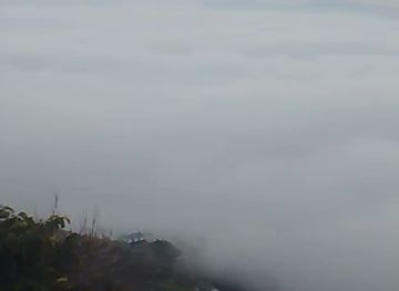 nepal/sudurpashchim-province/restaurant/alaichi-bari-chhepadi-dailekh