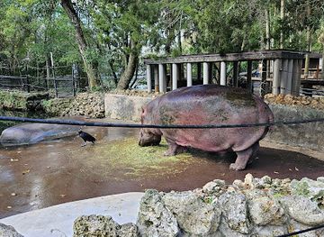 florida/homosassa-springs-wildlife-state-park/restaurant/homosassa-springs-state-park-adventures