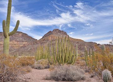 arizona/organ-pipe-cactus-national-monument/restaurant/kris-eggle-visitor-center