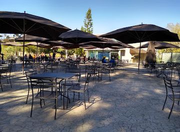 california/san-diego/balboa-park/restaurant/sabertooth-grill