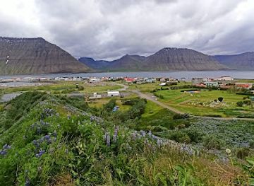iceland/dynjandi-waterfall/restaurant/vagninn